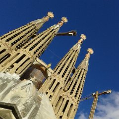 IMG 201